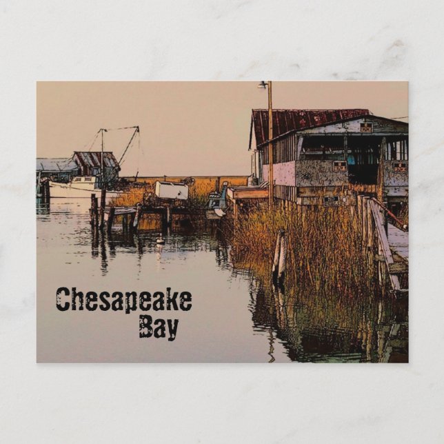 Carte postale de la baie Chesapeake (Devant)