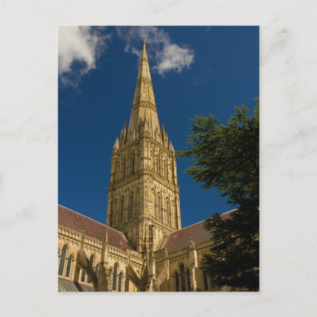 Carte postale de la cathédrale de Salisbury (Devant)