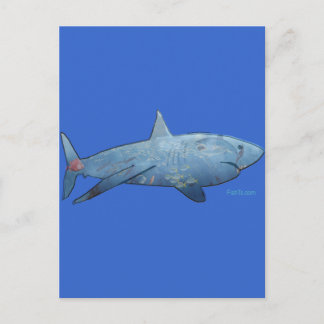 Carte Postale De la collection Sharks