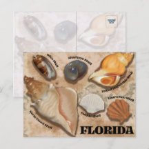 Carte postale de la côte de Floride