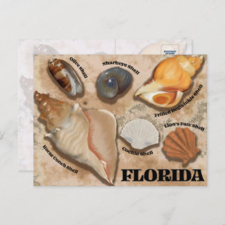 Carte postale de la côte de Floride