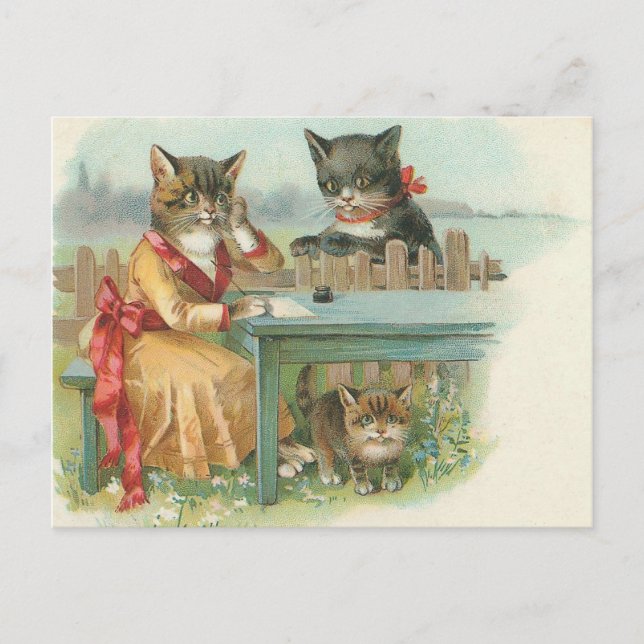 carte postale de la famille cat (Devant)