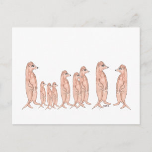 Carte postale de la famille Meerkat