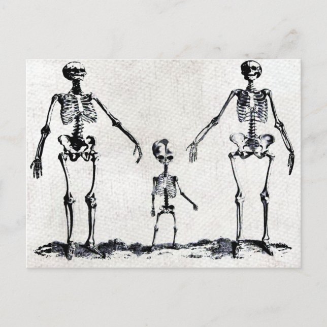 Carte postale de la famille Skeleton (Devant)