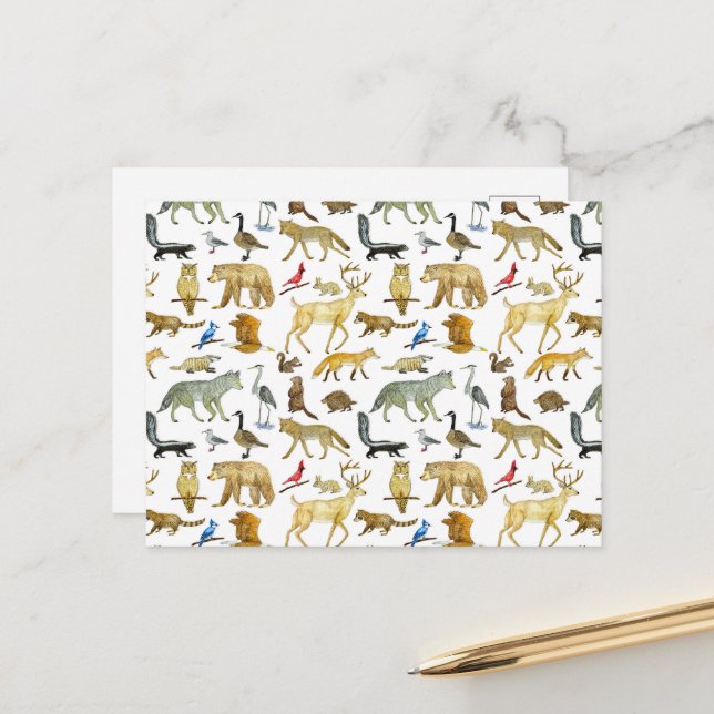 Carte postale de la faune des Grands Lacs (Devant/Arrière en situation)