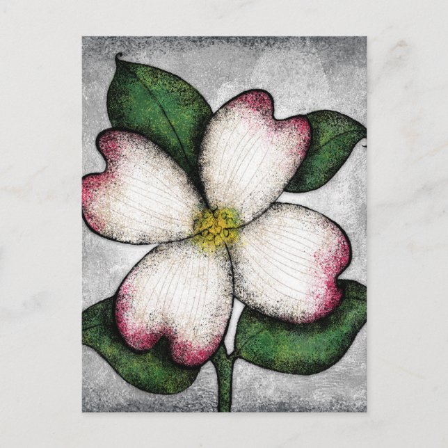 Carte postale de la floraison du cornouiller (Devant)