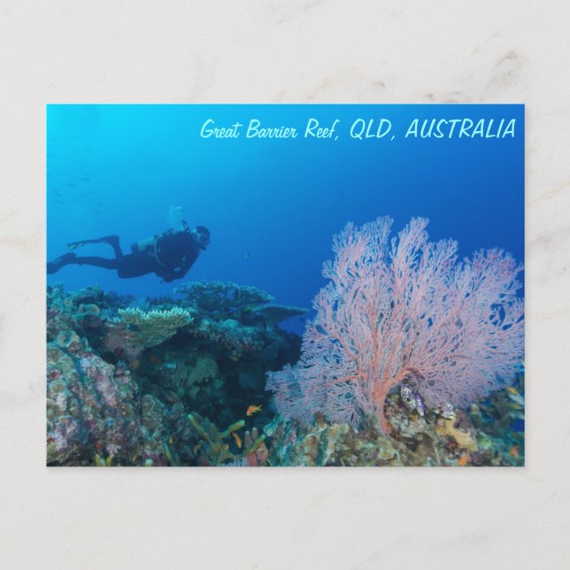 Carte postale de la Grande barrière de corail (Devant)