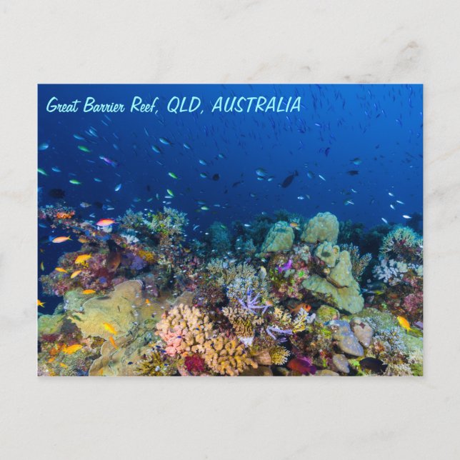 Carte postale de la Grande barrière de corail (Devant)