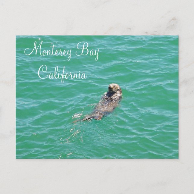 Carte postale de la Loue de mer de Monterey Bay (Devant)