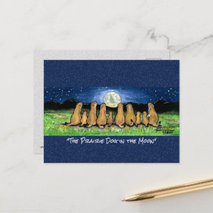 Carte postale de la lune de chien des Prairies Whi