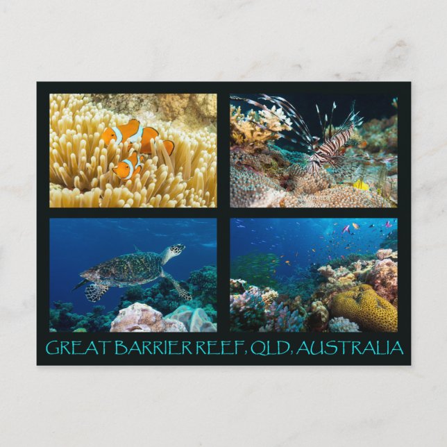Carte postale de la mer de corail (Devant)