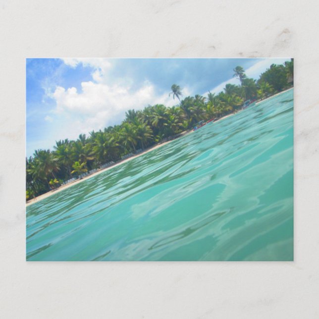 CARTE POSTALE DE LA MER DES CARAÏBES 16 (Devant)