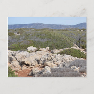 Carte postale de la nature de Chypre rurale