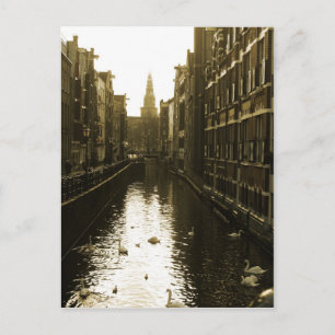 Carte postale de la photo Canal Swans d'Amsterdam