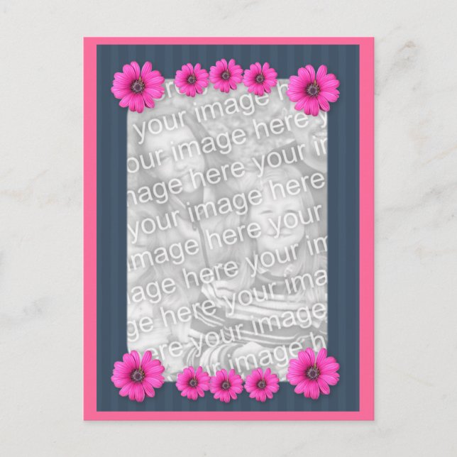 Carte postale de la photo rose Fleurs de marguerit (Devant)