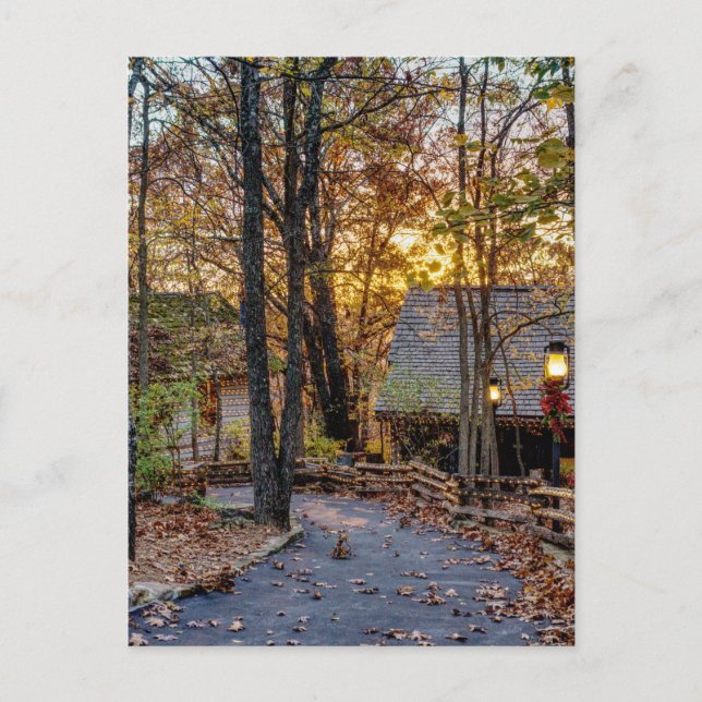 Carte postale de la promenade Sunset Woods d'autom (Devant)
