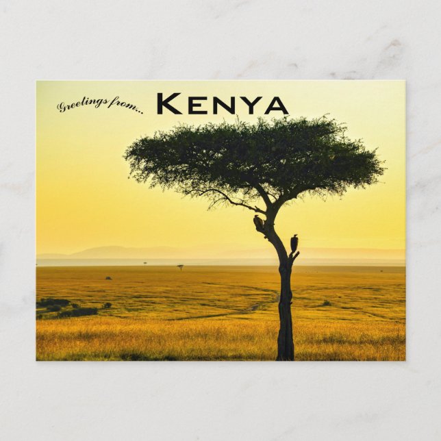Carte postale de la réserve nationale du Masai Mar (Devant)