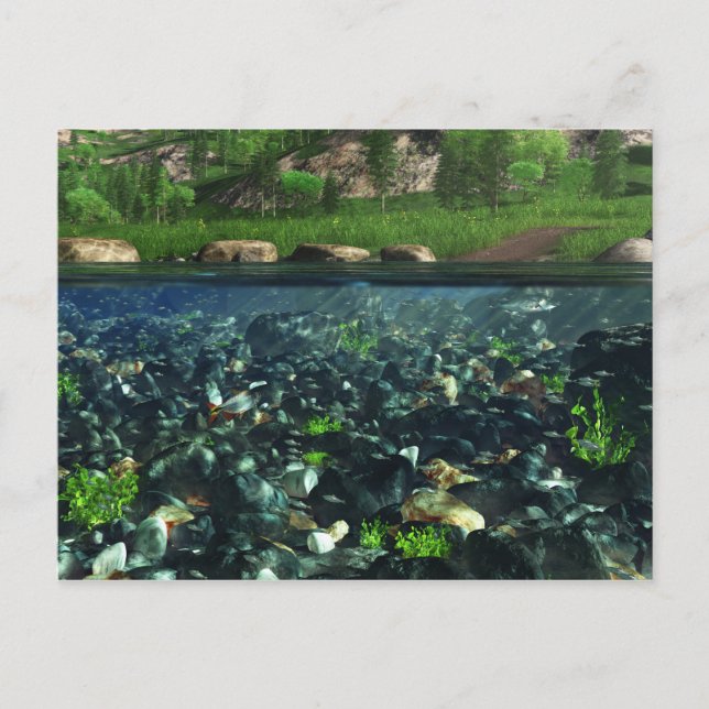 Carte postale de la rivière Cwm (Devant)