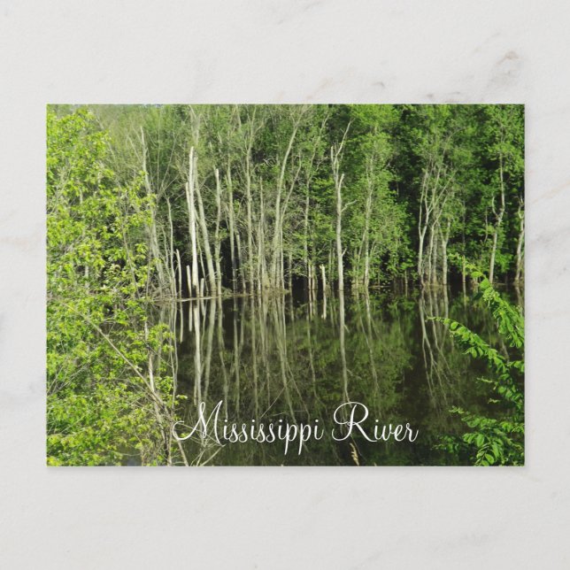 Carte postale de la rivière Mississippi (Devant)