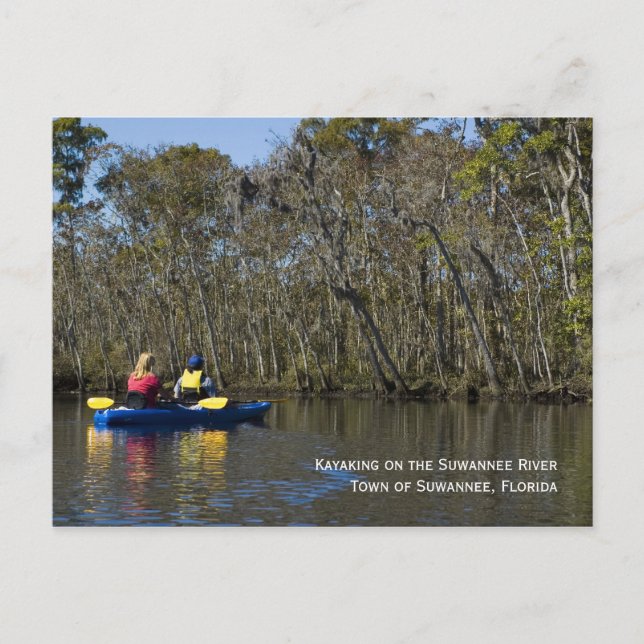 Carte postale de la rivière Suwannee (Devant)