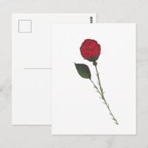 Carte postale de la rose rouge