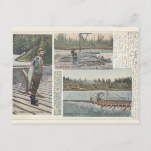 Carte postale de la roue Saumon de l'esturgeon