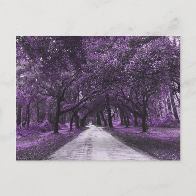 carte postale de la route (Devant)