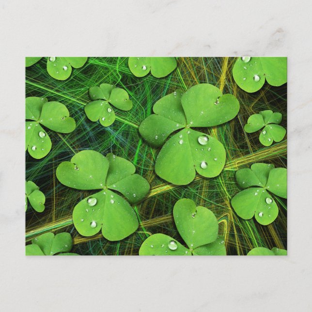 Carte postale de la Saint-Patrick, Shamrock verte (Devant)