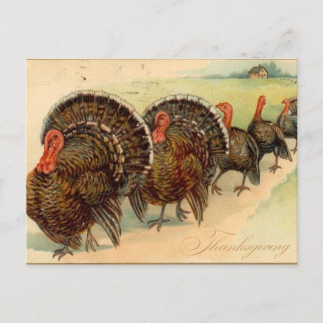 Carte postale de la scène de fête de Thanksgiving  (Devant)
