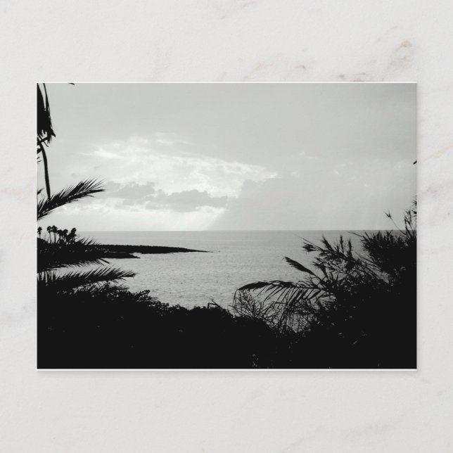 Carte postale de la scène de l'océan noir et blanc (Devant)