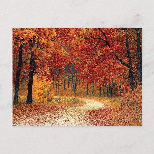 Carte postale de la scène des couleurs d'automne (Devant)