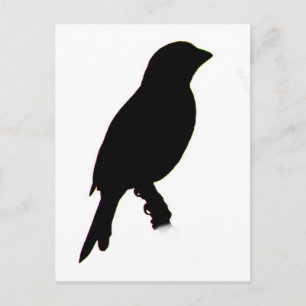 Carte postale de la silhouette House Finch