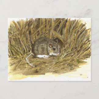 Carte postale de la souris de champ
