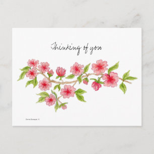 Carte postale de la succursale Cherry Blossom