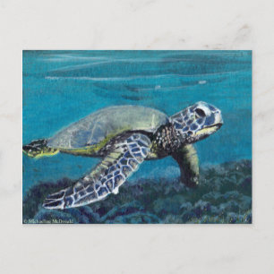 Carte postale de la tortue de mer