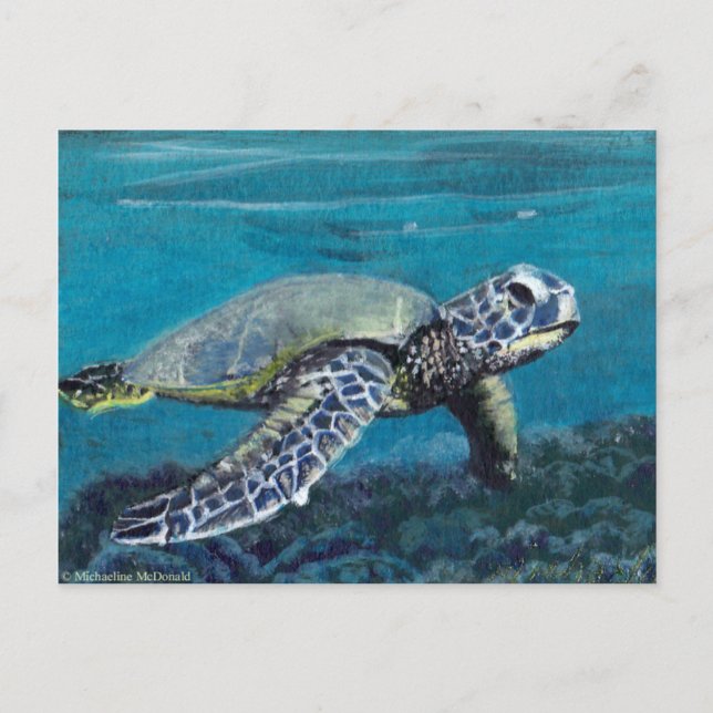 Carte postale de la tortue de mer (Devant)
