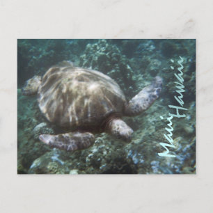 Carte postale de la tortue marine Maui Hawaii