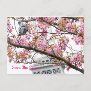 Carte postale de la tour Eiffel avec un pigeon pou
