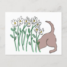 Carte postale de l'aide au jardin (chien dans la m