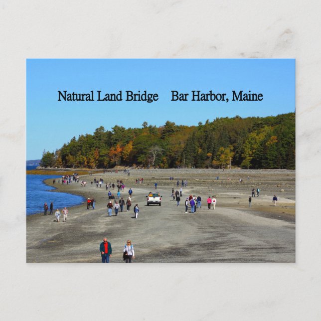 Carte postale de Land Bridge Bar Harbour (Devant)