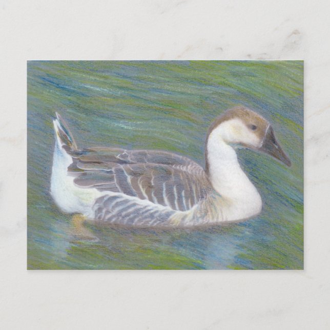 Carte postale de l'animal domestique Goose Fine Ar (Devant)