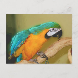 Carte postale de l'animal peint de perroquet bleu 