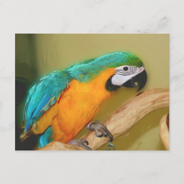 Carte postale de l'animal peint de perroquet bleu  (Devant)