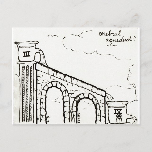 Carte postale de l'aqueduc céréalier (Devant)