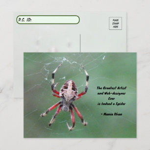 Carte postale de l'araignée d'orbweaver tachetée