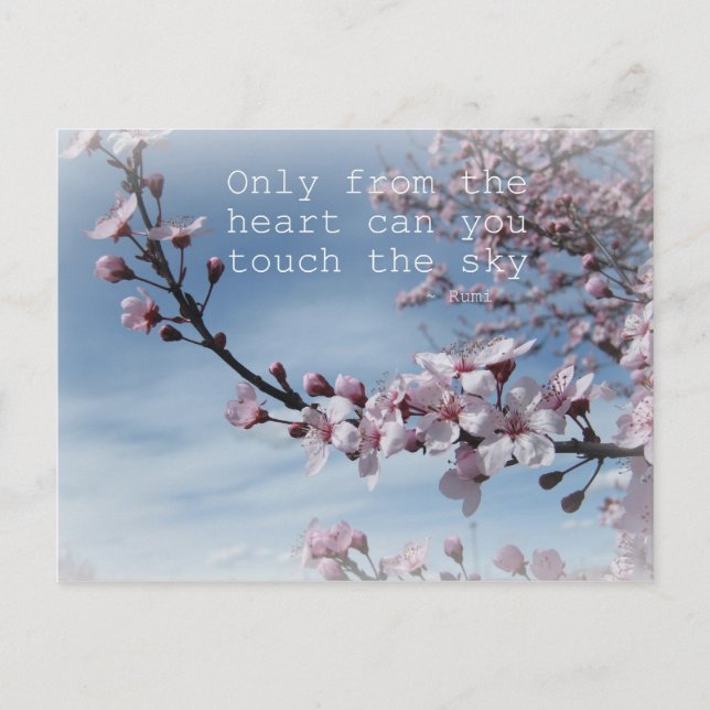 Carte postale de l'arbre à fleurs de cerisier Zen (Devant)