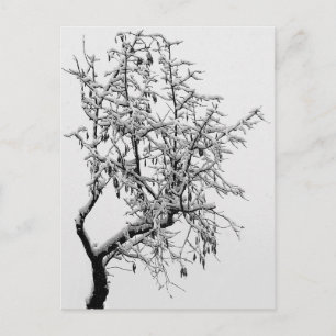 Carte postale de l'arbre d'hiver