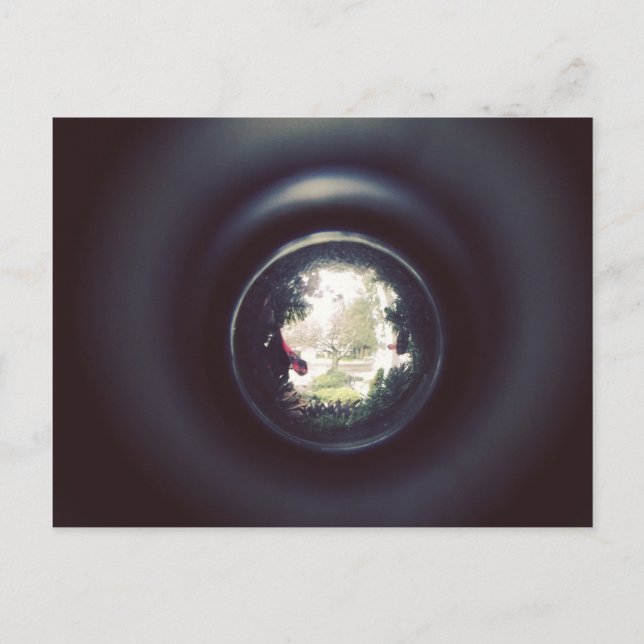 Carte postale de l'arbre — en regardant par le tro (Devant)