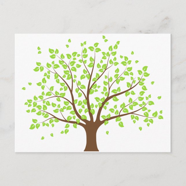 Carte postale de l'arbre vert (Devant)