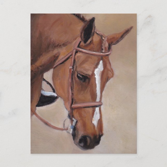 Carte postale de l'art animal du Cheval de Baie (Devant)